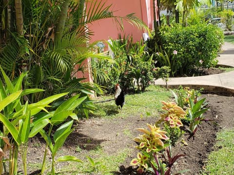 Dover Beach Hotel, View from room