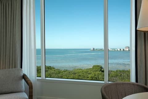 Grand Hyatt Tampa Bay, View from room