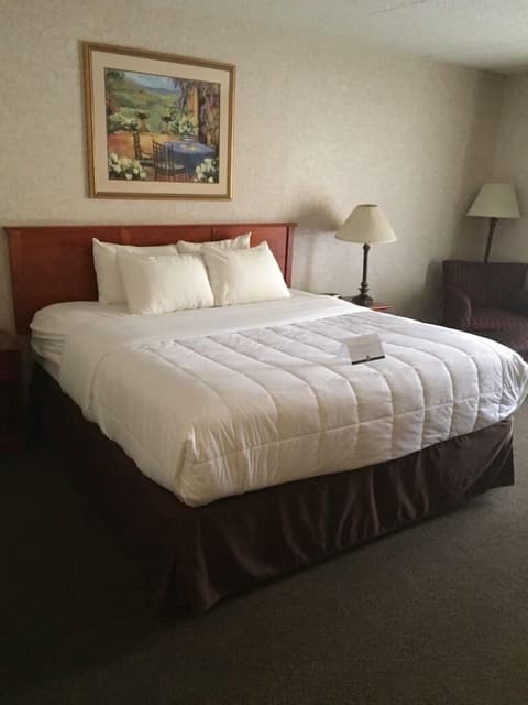 Quality Inn & Suites Albuquerque Midtown - University Area, Room