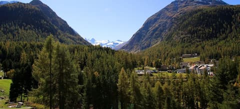 Hotel Saratz Pontresina Mountain Resort & Spa