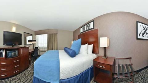 Wyndham Garden Elk Grove Village/O'Hare, Room