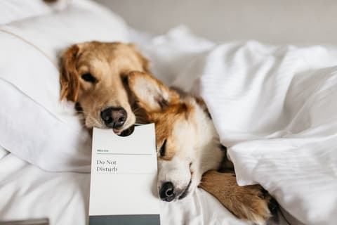 The Westin Bayshore, Vancouver