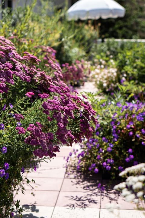 Hôtel Rosalie, Exterior