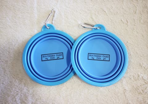 Quality Inn St Augustine Historic District Area