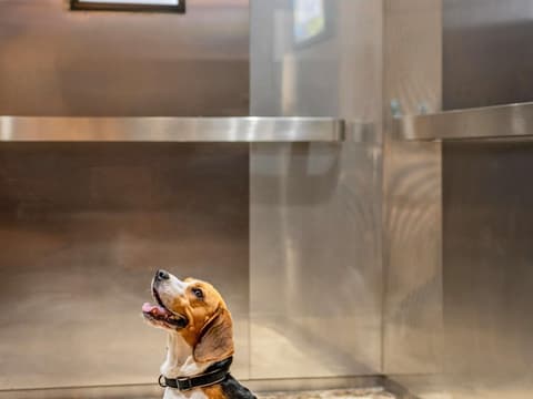 ibis Nürnberg Hauptbahnhof