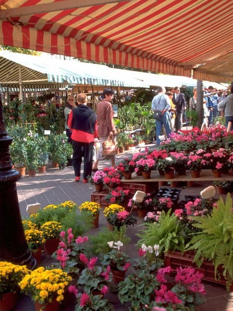 ibis Nice Centre Notre Dame, Miscellaneous