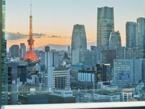 Mitsui Garden Hotel Ginza Premier