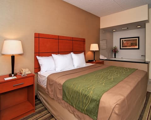 Comfort Inn Metro Airport, Room