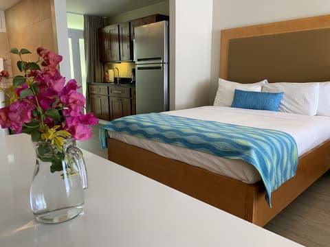 Divi Flamingo Beach Resort & Casino, Room
