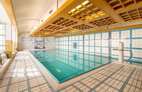 Dvorak Spa & Wellness, Pool