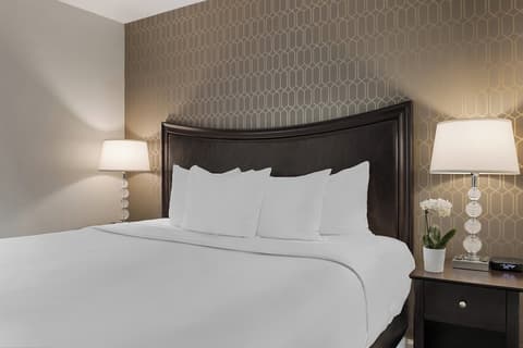 Peacock Suites
