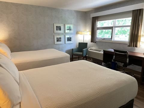 Rodd Moncton Hotel, Room