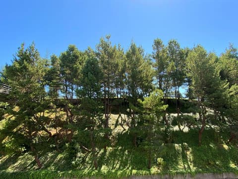 Best Western Plus Agate Beach Inn, View from room