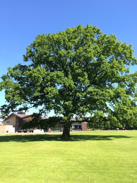 Glostrup Park Hotel, Hiking