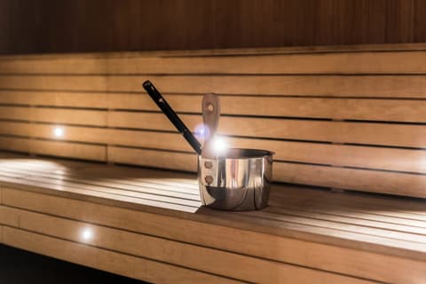 Scandic Opalen
