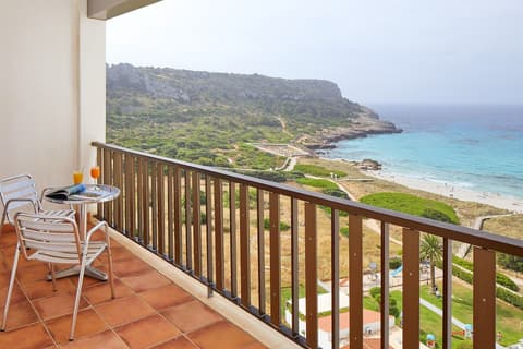 Sol Milanos Pingüinos, Room