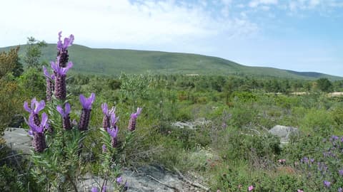 Hotel Fatima, Hiking