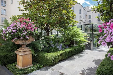 The Merrion, Terrace/patio