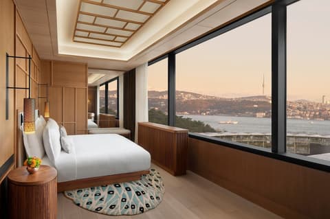 The Ritz-Carlton, Istanbul