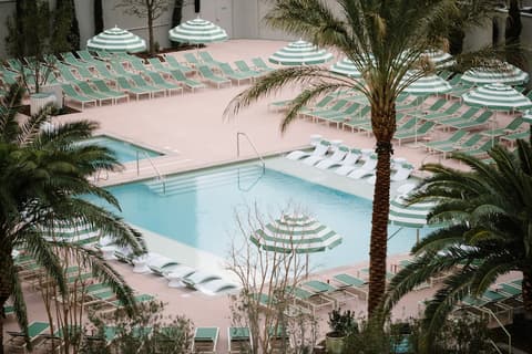 Park MGM Las Vegas, Pool