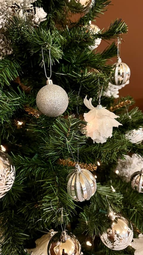 Hotel Union, Reception