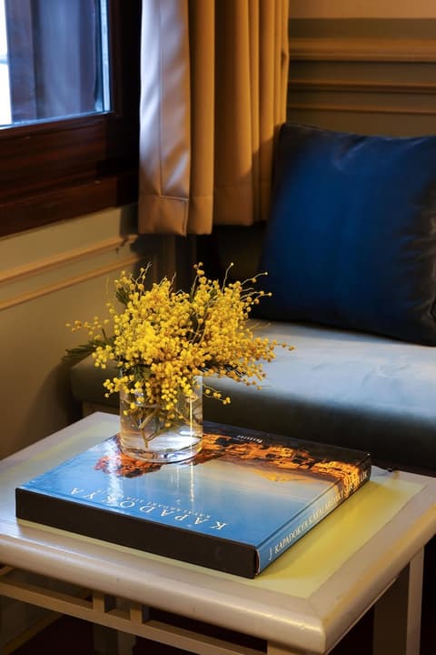 Armada Istanbul Old City Hotel, Room