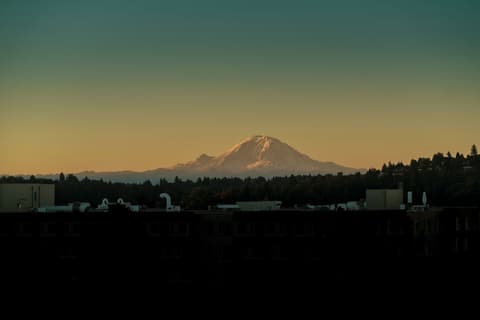 Staypineapple, Watertown Hotel, University District Seattle