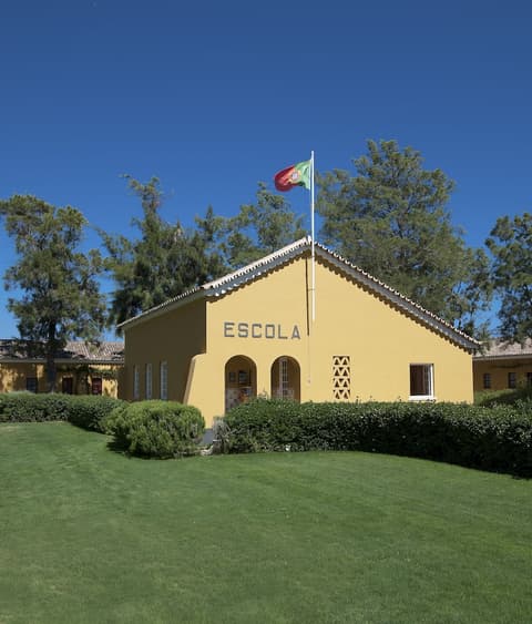 Vila Gale Albacora Eco-Resort Hotel