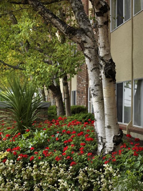 Royal Scot Hotel & Suites, Garden