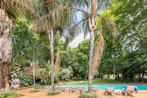 Holiday Inn Johannesburg Sunnyside Park by IHG, View from room