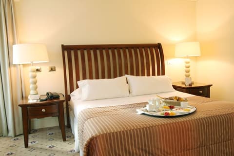 Hotel Torremayor Lyon, Room