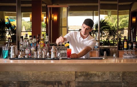 Canvas by Mitsis Messonghi, Bar (on property)