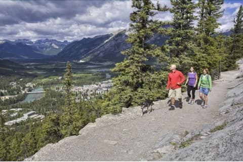 Douglas Fir Resort and Chalets