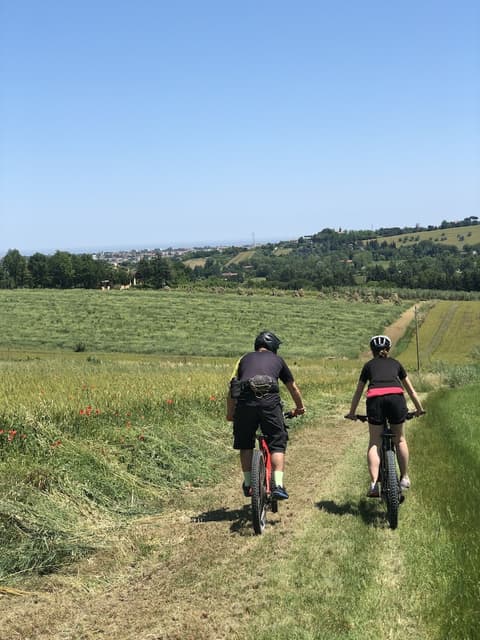 Hotel Villa Rosa Riviera