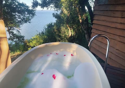 Malkoha Lake St. Lucia