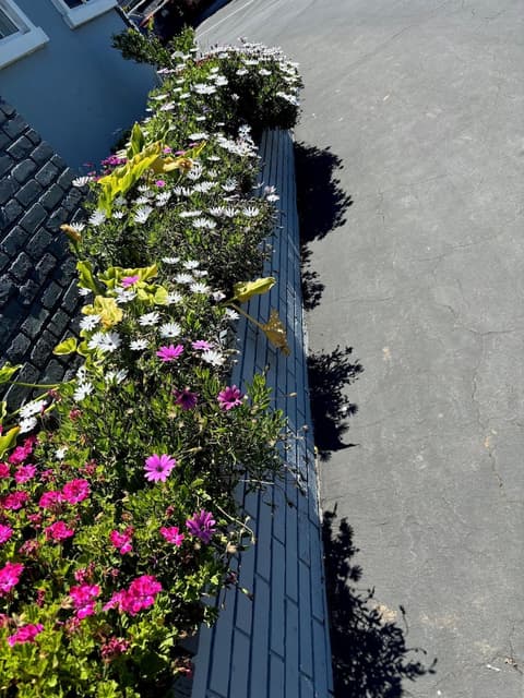 Monterey Fireplace Inn, Exterior