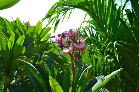 Wonders Boutique Hotel, View from room