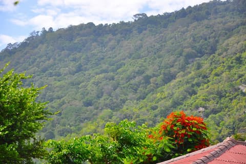 Coral Resort & Bungalows