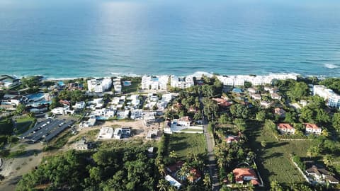 Garden by the Sea