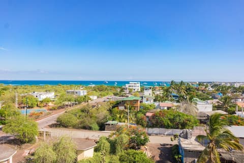 Galapagos Verde Azul