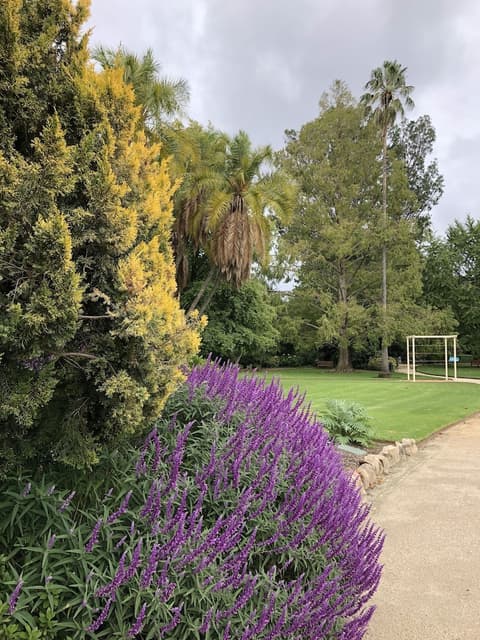 Comfort Inn Commodore Albury, Point of interest