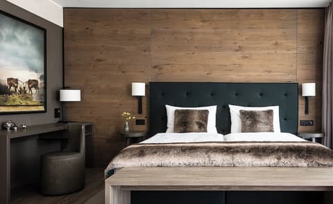 AMERON Davos Swiss Mountain Resort, Room
