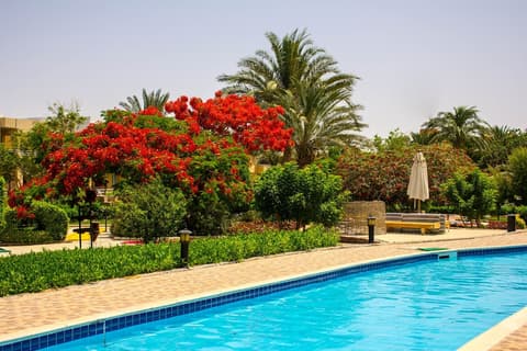 Golden Beach Resort - All inclusive