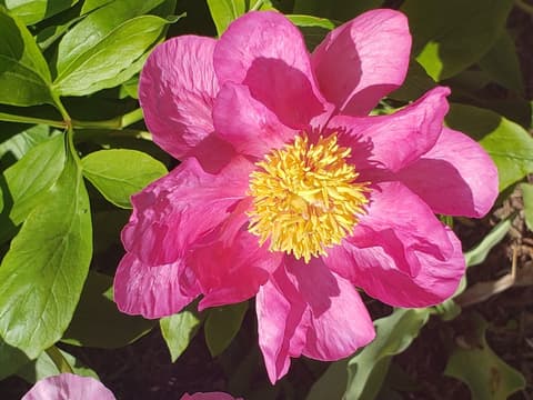 Holiday Inn Express & Suites Oshawa Downtown - Toronto Area by IHG, Point of interest