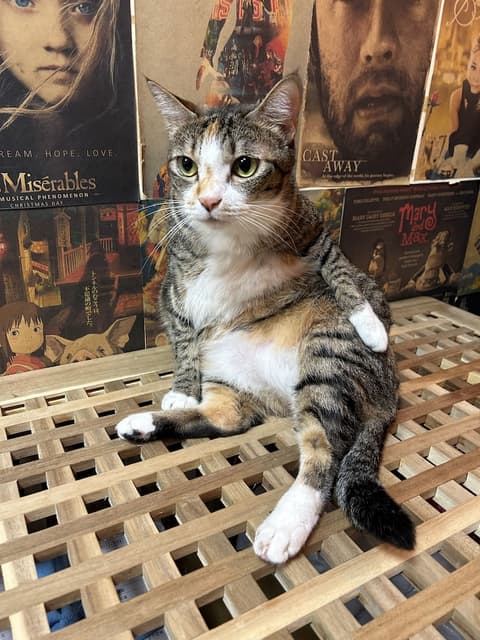 Ximen Triple Tiger Hostel, Reception