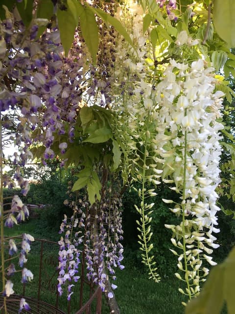 Agriturismo SetteLune