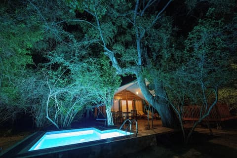 King Reach Yala Wild