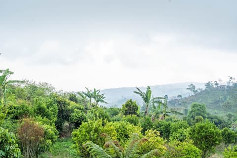 Shankara Munduk Bali