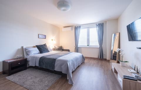 Gynėjų Apartments - Lollo Luxury, Room