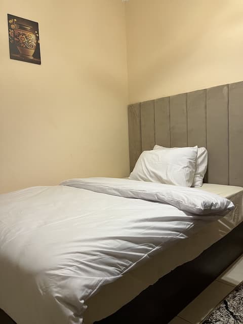 King Badr pyramids inn